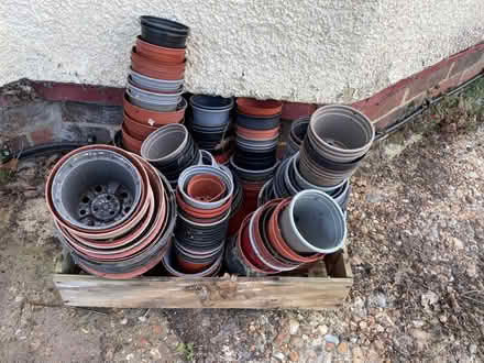Photo of free Plant Pots (Stone Cross BN23) #1