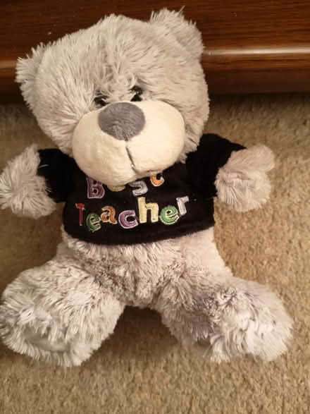Photo of free Small best teacher teddy (CV32 lillington) #1