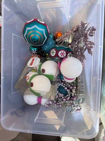 Photo of free Christmas decor (Cathedral Heights) #1