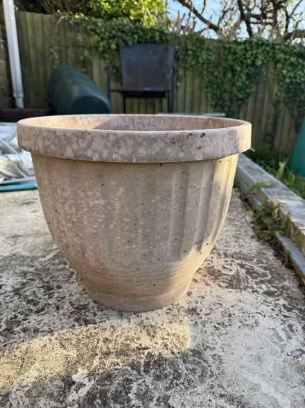 Photo of free Large pink plastic plant pot (Hollingbury BN1) #1
