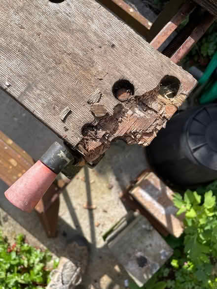 Photo of free Elderly but sturdy useable workmate (CO7 Wivenhoe) #4