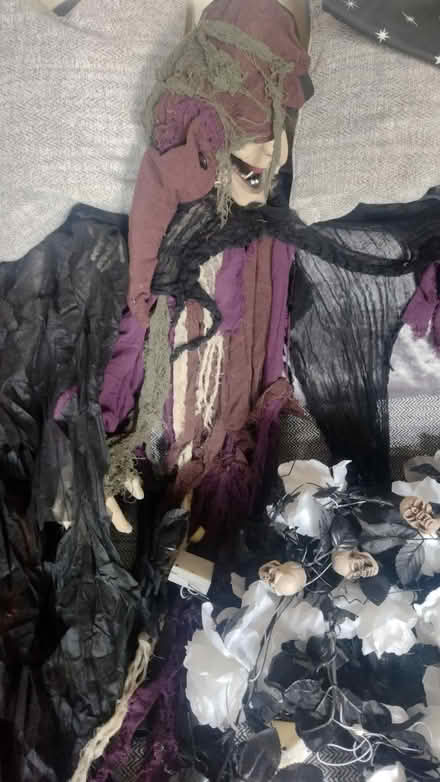 Photo of free Halloween Items (Erdington B235HA) #4