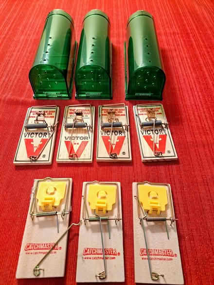 Photo of free Mouse traps (69th Street, Upper Darby) #1