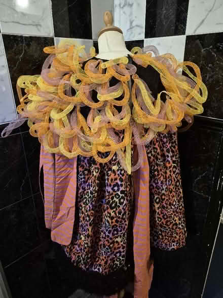 Photo of free Stage Theatre Carnival Costumes (Hollinswood TF3) #1