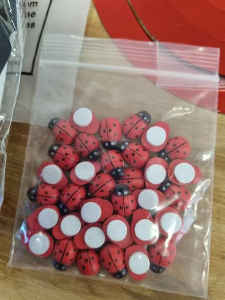 Photo of free Ladybird craft stuff (CM2 springfield, chelmsford) #2