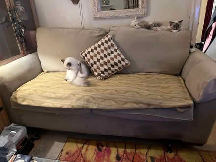 Photo of free Sofa in stone Beige (Wormholt W12) #2