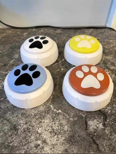 Photo of free Pet talking buttons (Drexel Hill) #1