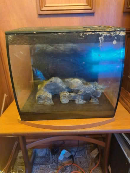 Photo of free Fluval flex 34l tank (Tollesbury CM9) #1