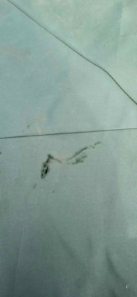 Photo of free Gazebo canvas cover (BH24 Ringwood) #4