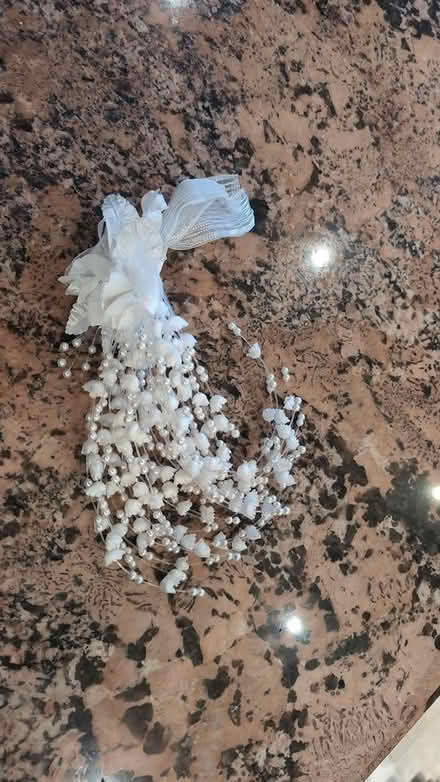 Photo of free Bridal accessories (Trafalgar/River Oaks, Oakville) #2