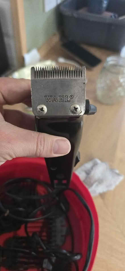Photo of free Wahl clippers (Llandrindod wells LD1) #2