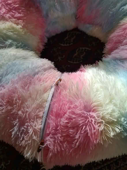 Photo of free Cat play tunnel (Halifax) #1