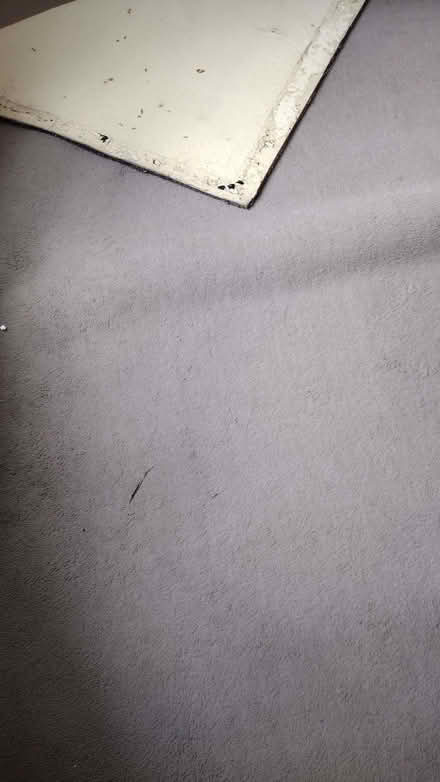 Photo of free used carpet 3 pieces (Carlisle CA1) #1