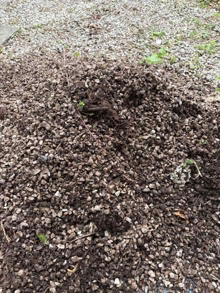 Photo of free Gravel (Kendal LA9) #2