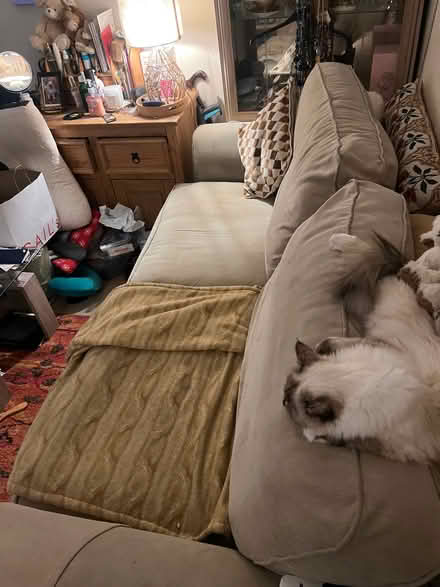 Photo of free Sofa in stone Beige (Wormholt W12) #4