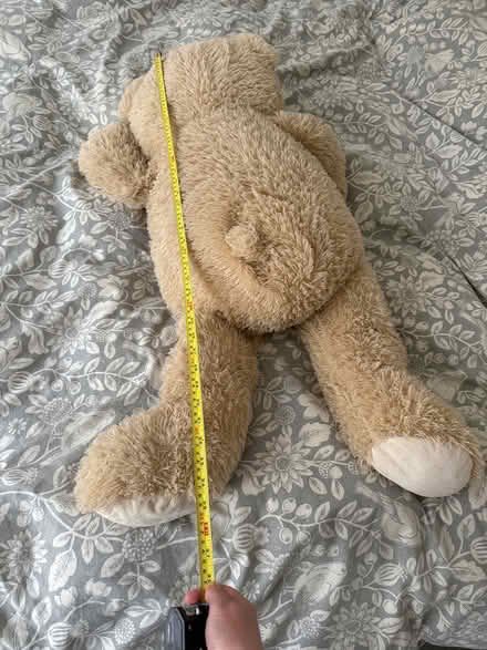 Photo of free Large fluffy teddy (Carshalton) #3