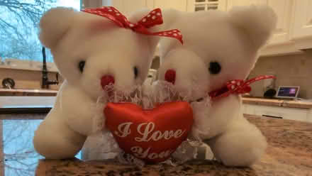 Photo of free Stuffed Bears (Trafalgar/River Oaks, Oakville) #1