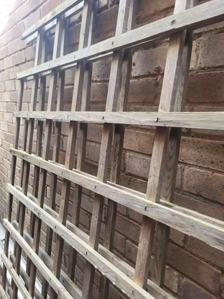 Photo of free Garden trellis (OX15 bloxham) #1