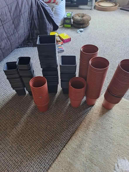 Photo of free Small plastic plant pots (Edinburgh, Canonmills EH7) #1