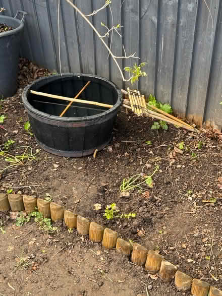 Photo of Pond plants/stones/rocks for pond (Malvern, WR14) #1