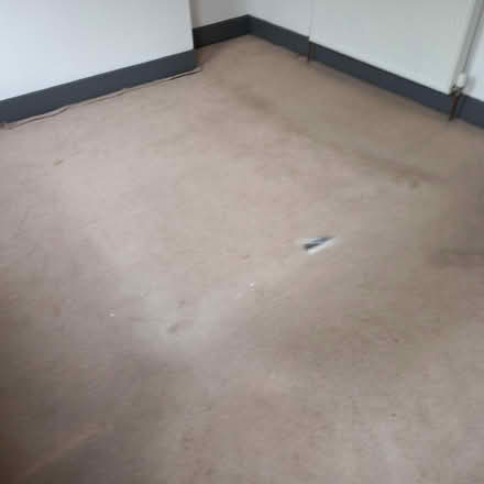 Photo of free Carpet (Garston L19) #1