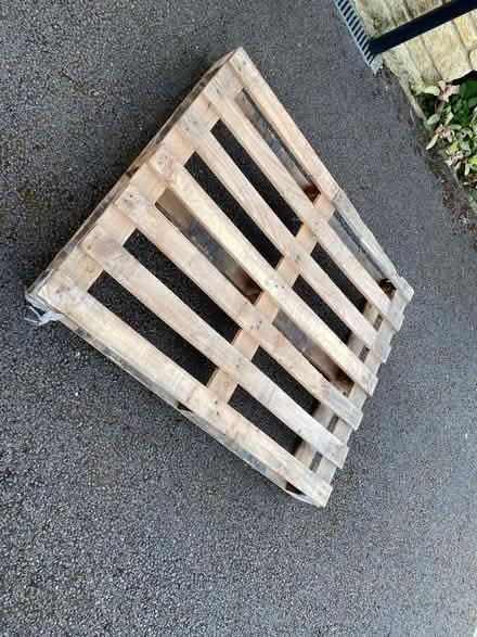 Photo of free Timber pallet (Southmoor OX13) #1