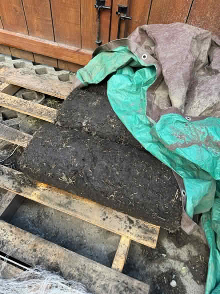 Photo of free Extra sod rolls (Mountain View Shoreline West) #2