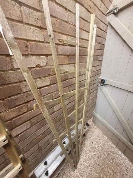 Photo of free Garden trellis (OX15 bloxham) #3