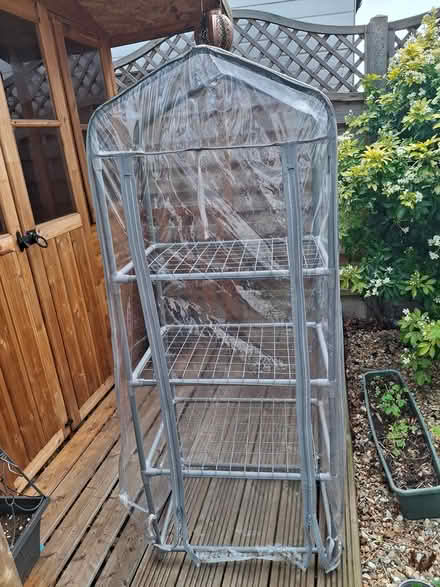 Photo of free Mini greenhouse (sidcup DA15) #1