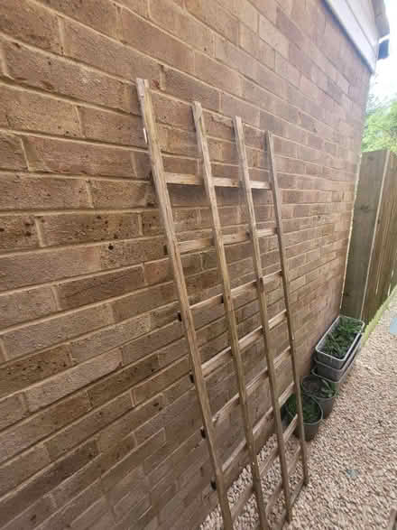 Photo of free Garden trellis (OX15 bloxham) #2