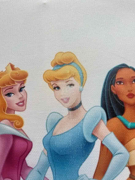 Photo of free Disney princess canvas (OX1 Kennington) #2