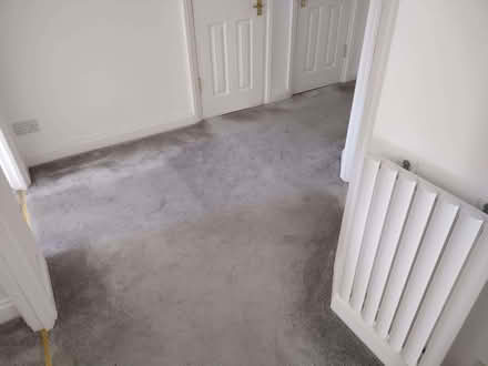 Photo of free Grey high pile carpet large offcut (Southfields SW19) #1