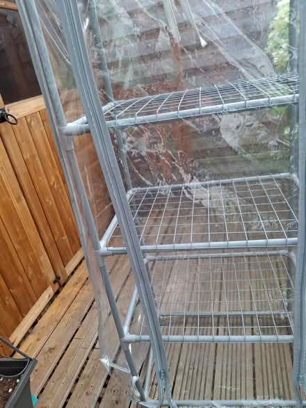Photo of free Mini greenhouse (sidcup DA15) #2