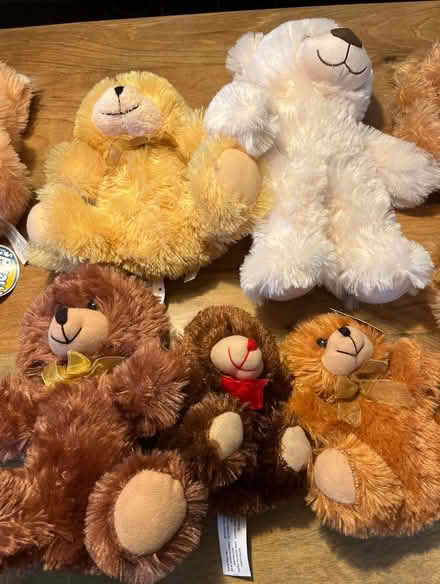 Photo of free Teddy Bear Stuffed Animals (Niles) #3