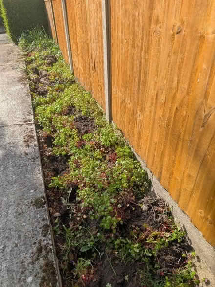 Photo of free Garden Top Soil (Wollaton Park NG8) #1
