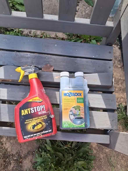 Photo of free various garden stuff (West Haywards heath) #3