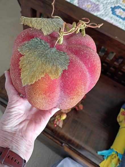 Photo of free Fall decorations (Erie) #2