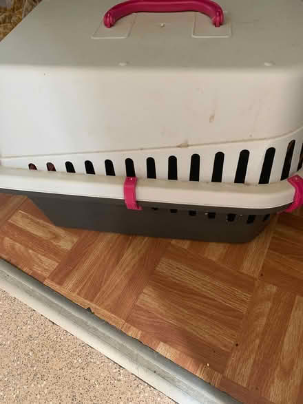 Photo of free Cat carrier (Bucknell SY7) #3