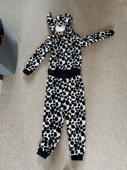 Photo of free B13 - kids dressing up animal (kings heath B13) #1