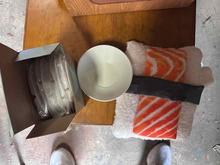 Photo of free Cat items (Takoma, DC) #4