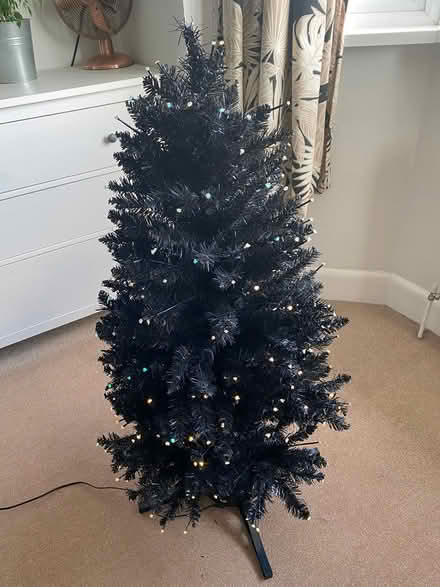 Photo of free Fibre Optic Christmas Tree (Privett PO12) #1