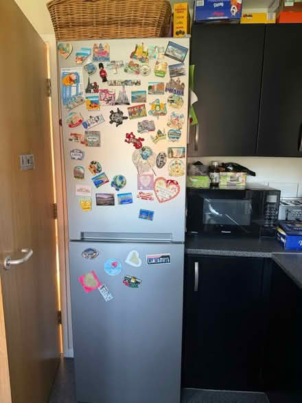 Photo of free Fridge freezer (DE21) #1