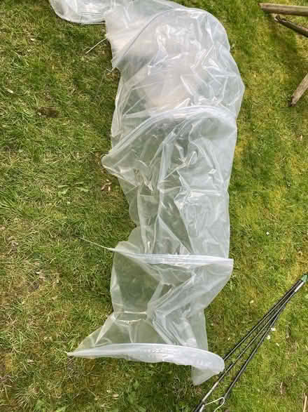Photo of free Polytunnel fold up (Ramsgate CT11) #3