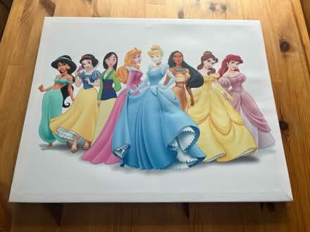 Photo of free Disney princess canvas (OX1 Kennington) #1