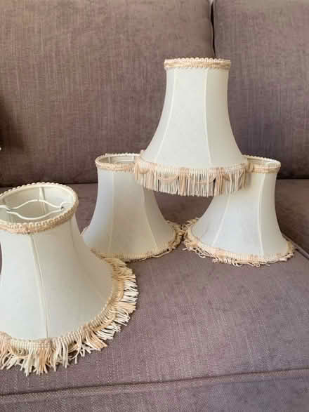 Photo of free Four Retro Wall Lampshades (Baslow DE45) #1