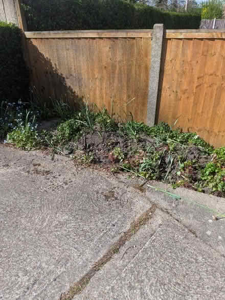 Photo of free Garden Top Soil (Wollaton Park NG8) #3