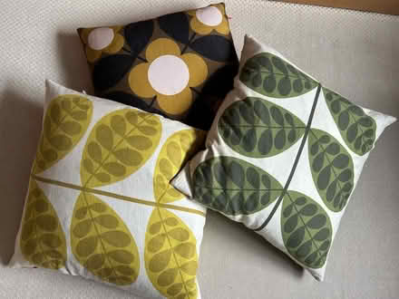 Photo of free 3 Orla Kiely cushions (Barkham RG41) #1