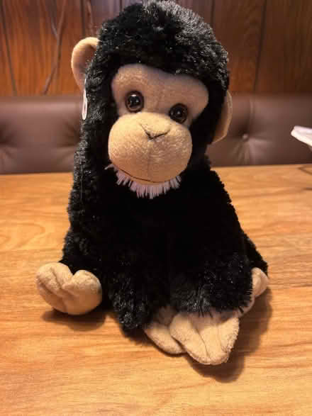 Photo of free Stuffed animal monkeys (Niles) #4