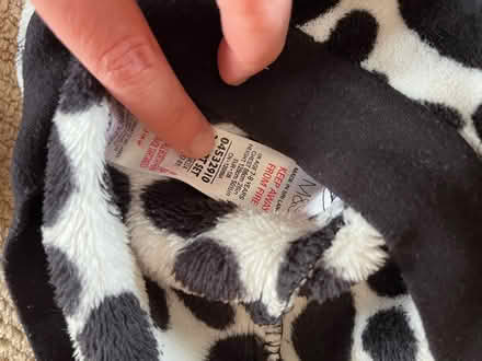 Photo of free B13 - kids dressing up animal (kings heath B13) #2