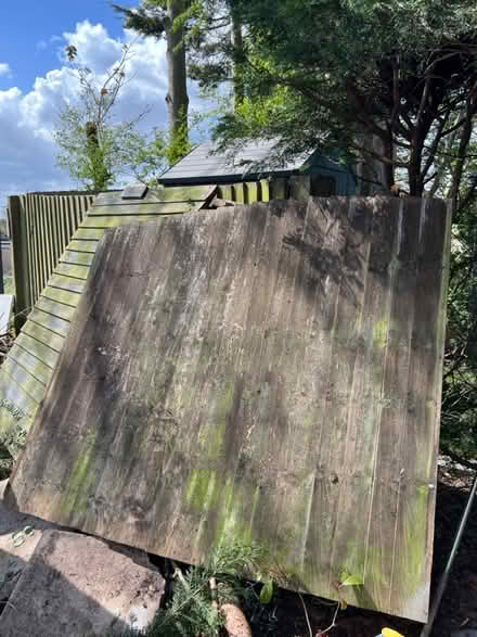 Photo of free Fence panels round top (Chaddesden DE21) #1